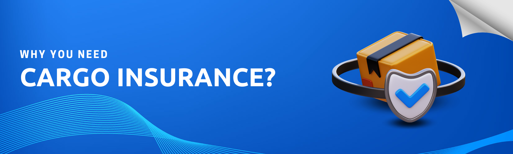 Additional service: Cargo insurance