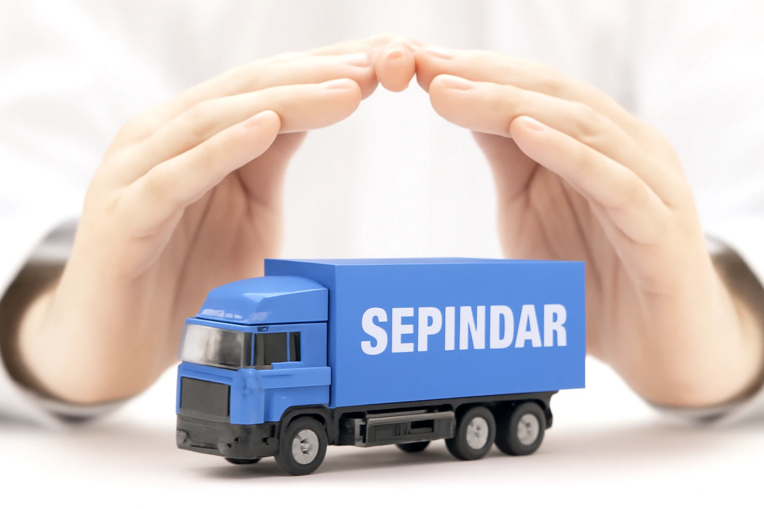 Additional service: Cargo insurance