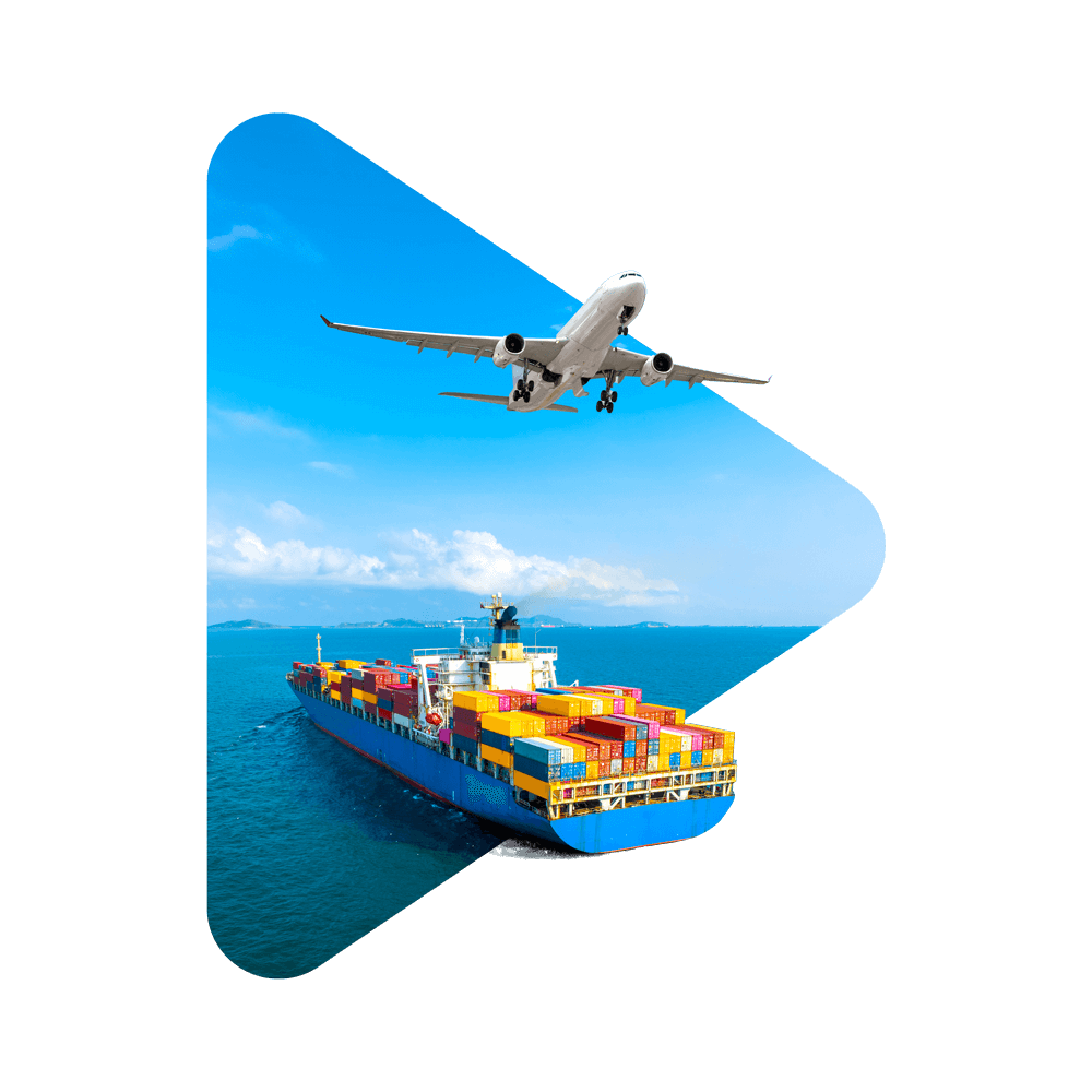 Ships and planes respectively undertake the transportation of goods by sea and by air.