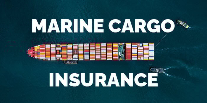 Choose cargo insurance to ensure the safety of the goods.