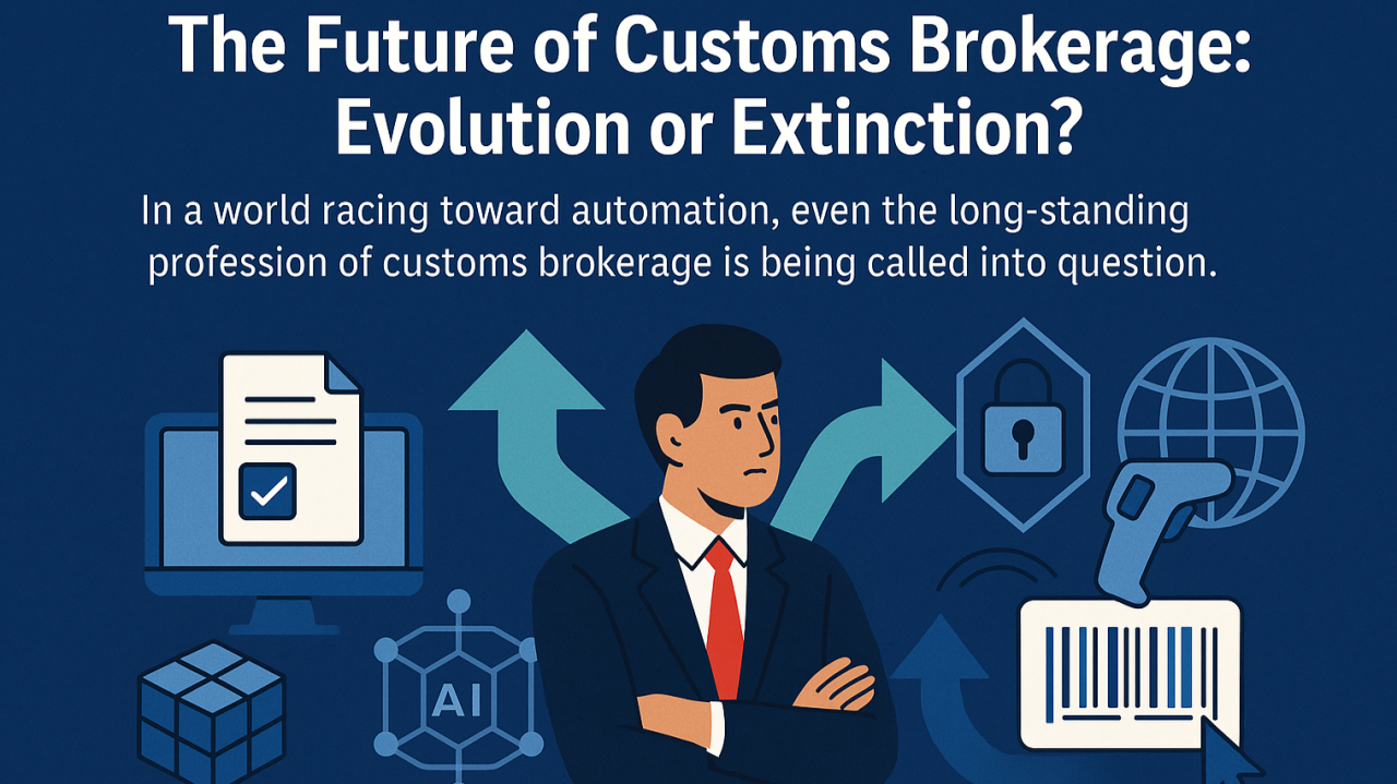 Prepare complete documents for customs declaration procedures