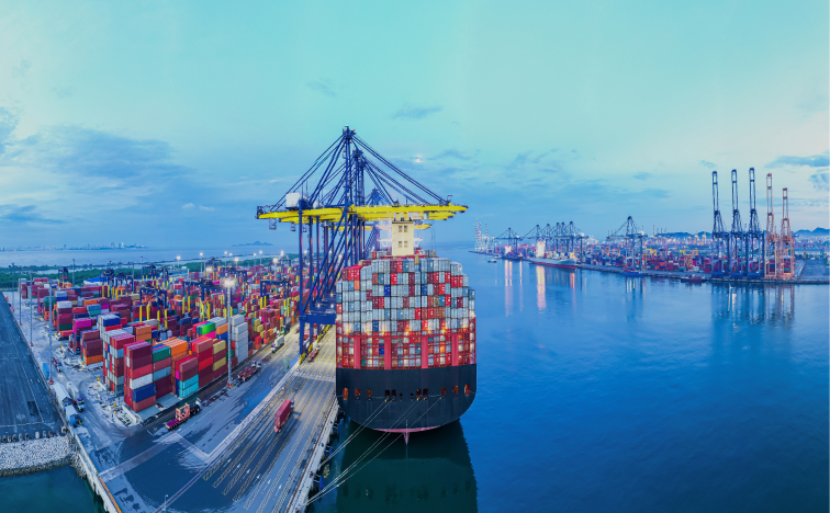 What Are the Main Sea Freight Options from China?