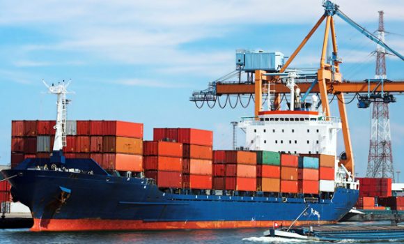 What Are the Main Ocean Freight Options from China to USA?