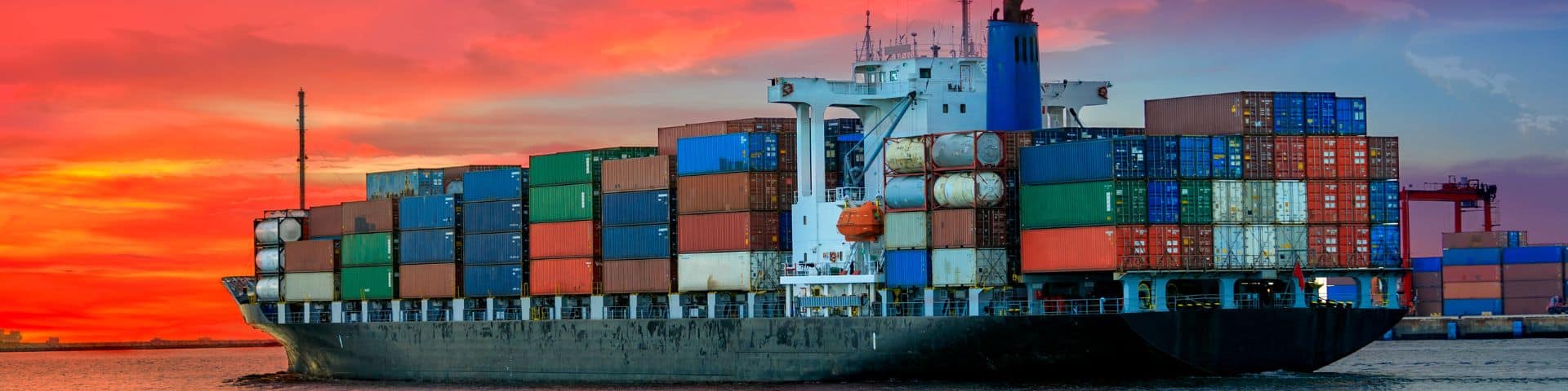 What Are the Main Ocean Freight Options from China to USA?